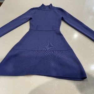 Zara Periwinkle Skater Dress